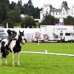 Hobo II at Blair Castle International Horse Trials