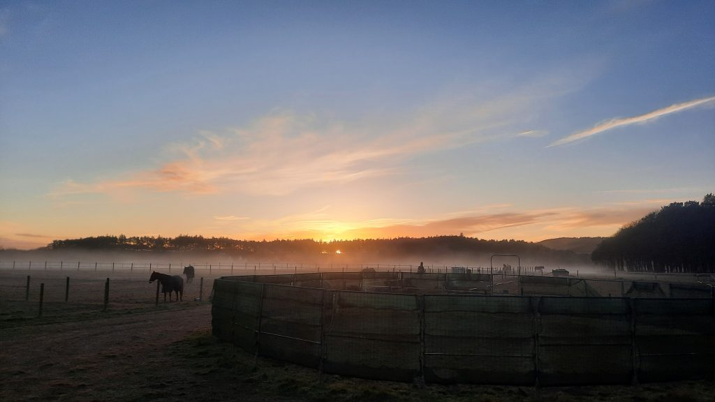 The yard at St Michaels in the mist.