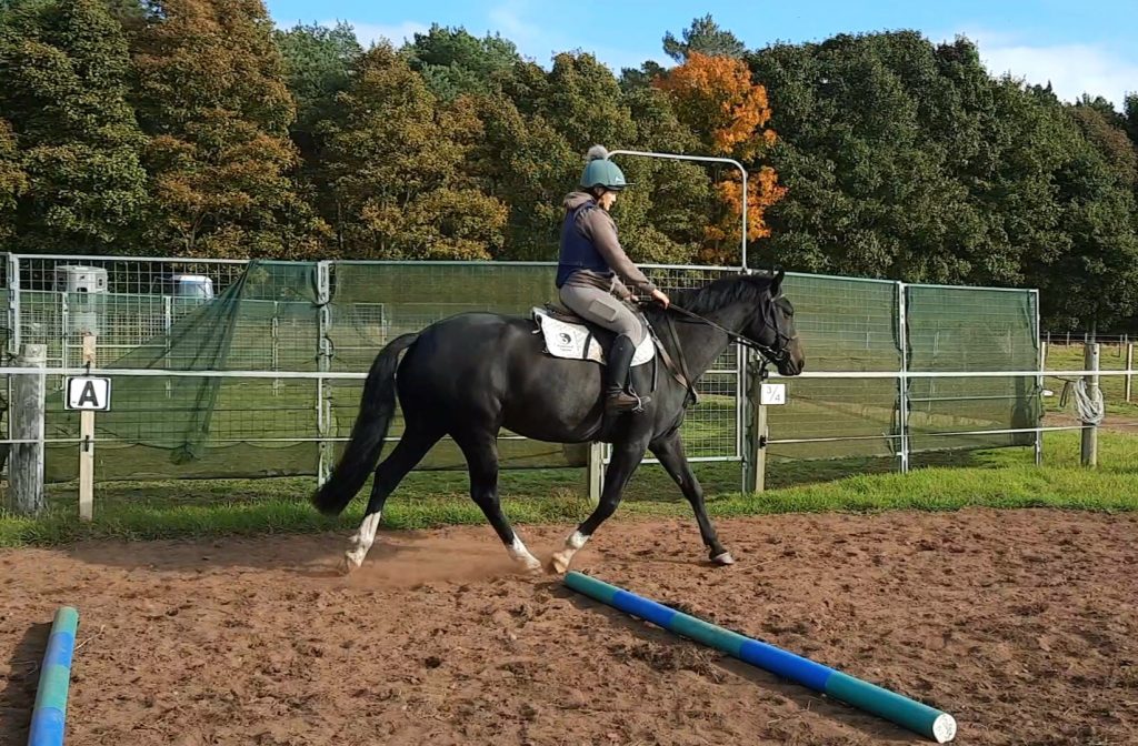 A newly backed sport horse at St Michaels