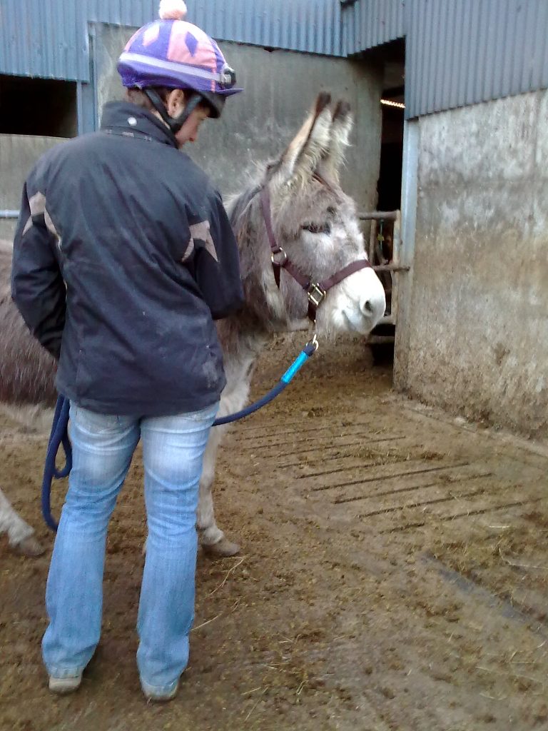 Jo handling a donkey in Ireland