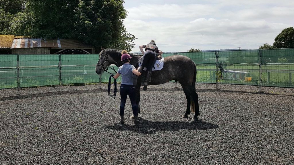 First time leaning on a young sport horse